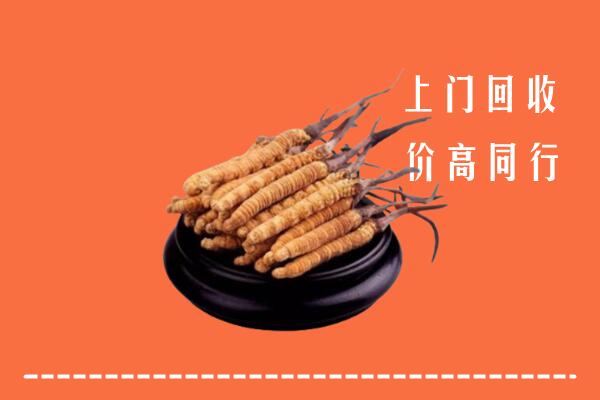 高价求购：秦都区回收散虫草