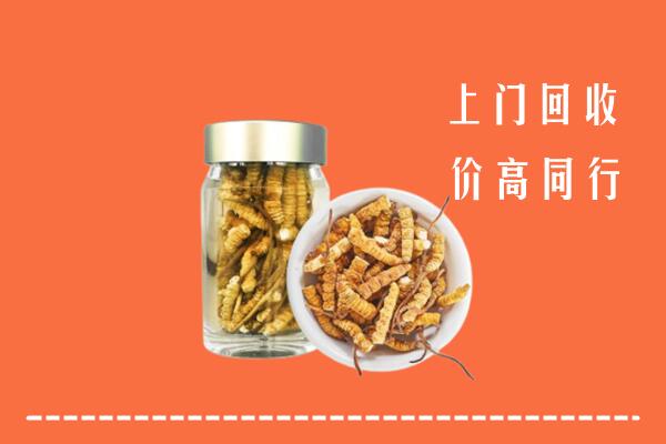 秦都区回收冬虫夏草